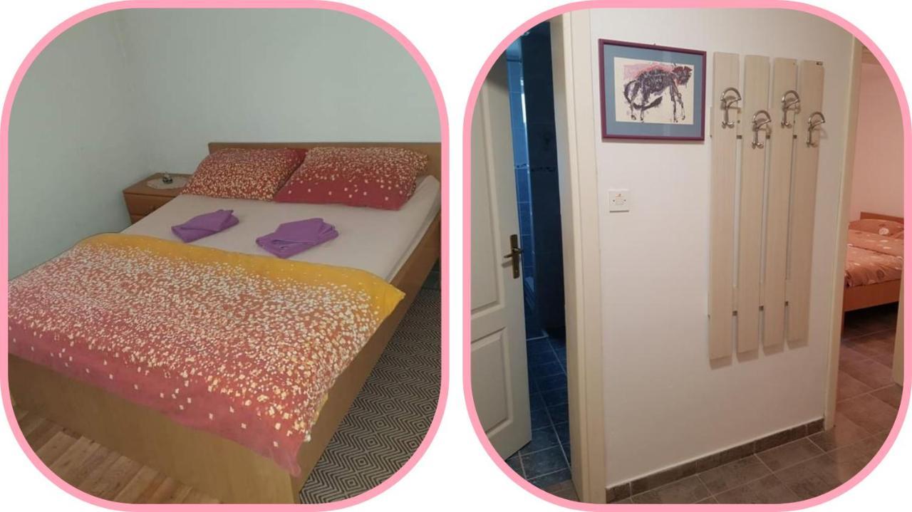 Apartmani Apolon Vrdnik Εξωτερικό φωτογραφία